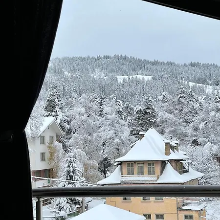 мансарда с фантастични гледки и две спални 公寓 切佩拉雷